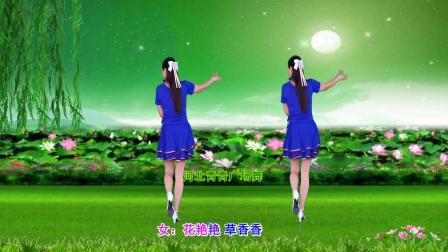 甜蜜蜜DJ广场舞《情歌轻轻唱》演示分解