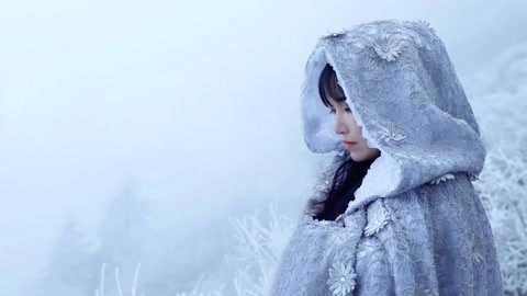 李子柒古香古食 一个陶坛糅杂百味—佛跳墙