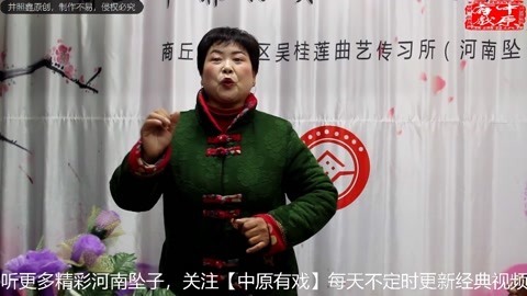 河南坠子《大明奇冤》
