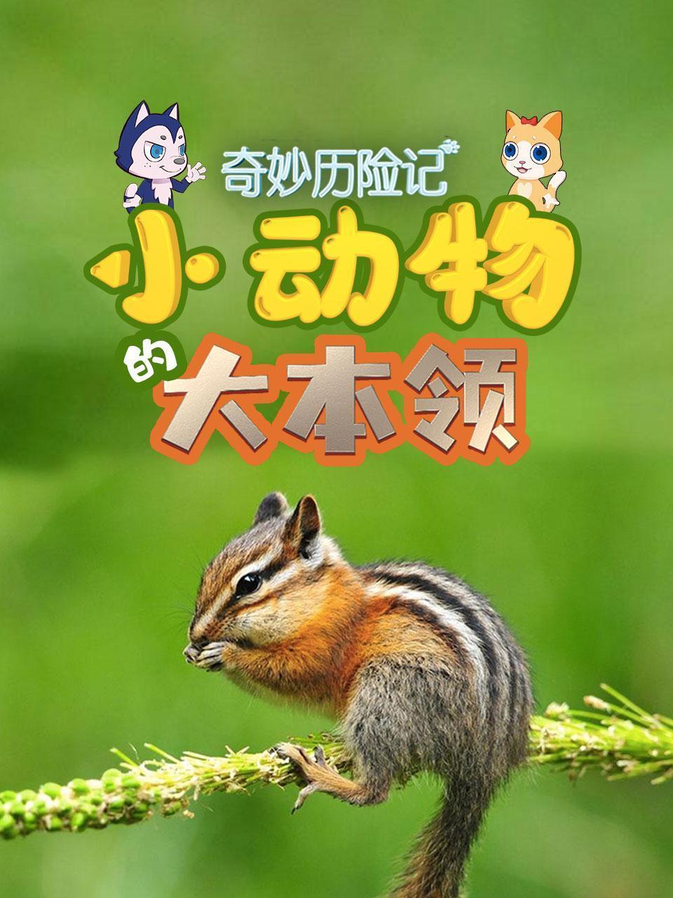 奇妙历险记：小动物的大本领