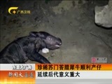 新闻夜总汇 《新闻大通道》 20160515