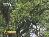 生财有道 《生财有道》 20171207 江西宜丰：绿水青山 生态富民