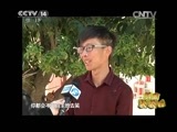 新闻袋袋裤 《新闻袋袋裤》 20150429