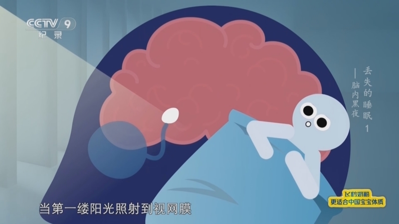 《丢失的睡眠》 第1集 脑内黑夜