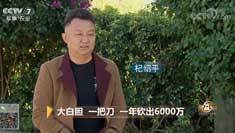 致富经 [致富经]大白胆 一把刀 一年砍出6000万 20190108