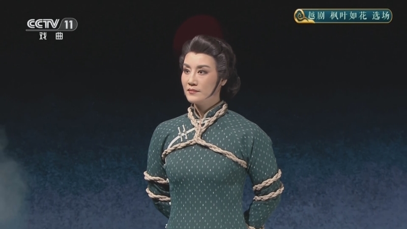 CCTV空中剧院 《CCTV空中剧院》 20260208 越剧《枫叶如花》选场