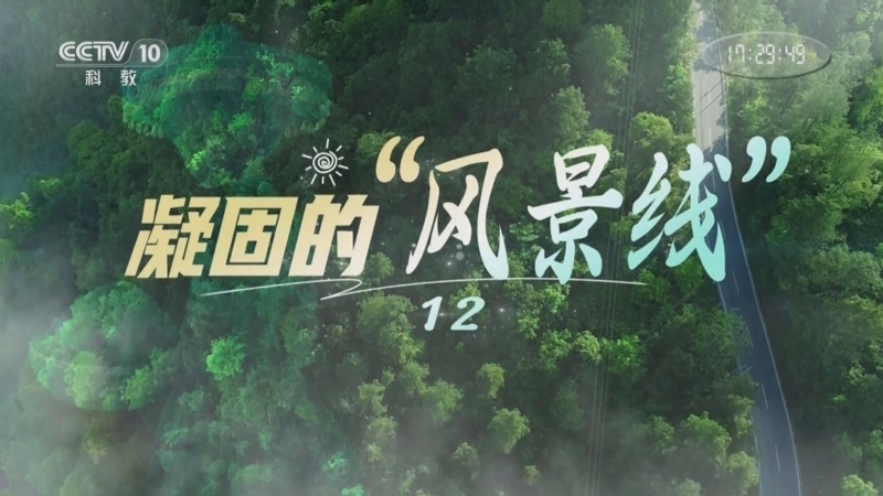 《地理·中国》 20251123 凝固的“风景线”12