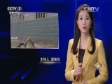 致富经 《致富经》 20151106 养毒蛇是我一辈子的梦想