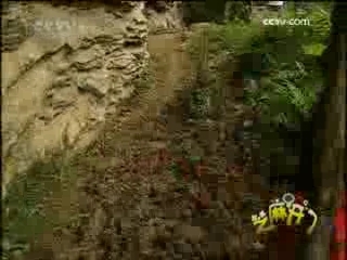 芝麻开门【央视】 沧源崖画探秘