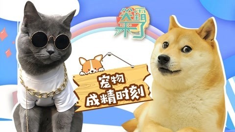 笑霸来了欢畅版 宠物们的成精时刻