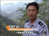 天网 天网 2010年 第75期
