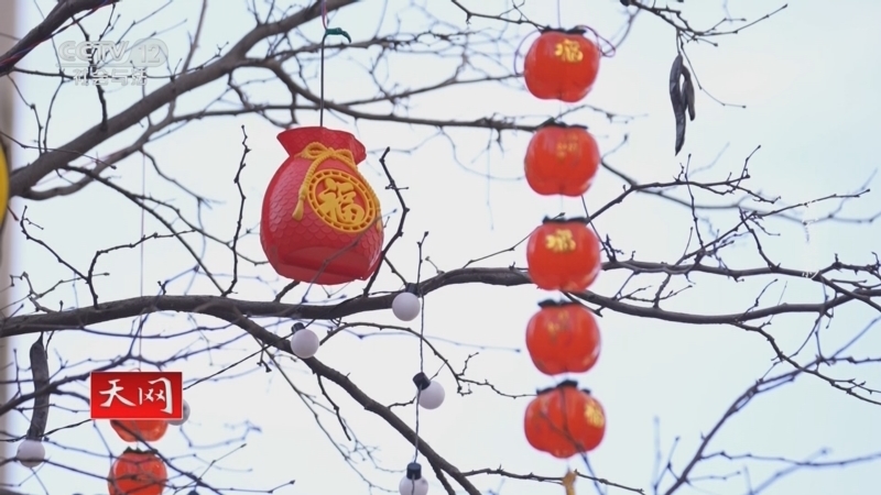 天网 《天网》 20251208 密室盗影