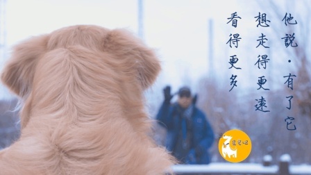 每一只神犬的背后 都有一个敢于冒险的领袖