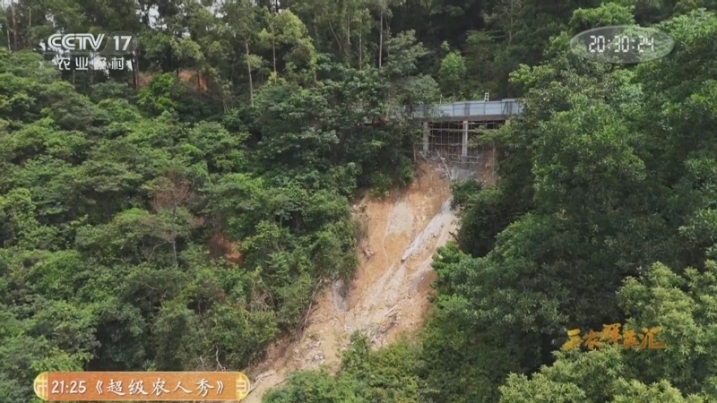 《三农群英汇》 20251204 向荒山要未来的“愚公”