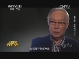 军事纪实 《军事纪实》 20141201 北洋海军兴亡史③ 战略端倪（下）