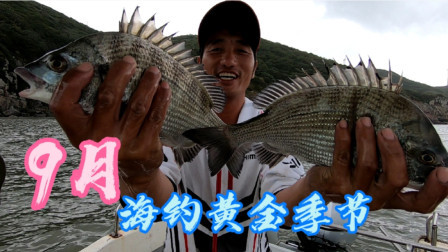 阿杰修完机器又出海钓鱼，9月海钓黄金季节，顺便搞搞的收获怎么样