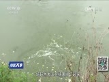 小区大事 《小区大事》 20161219 我要登记结婚