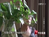 今日说法 《今日说法》 20151124 一个饭局二百万
