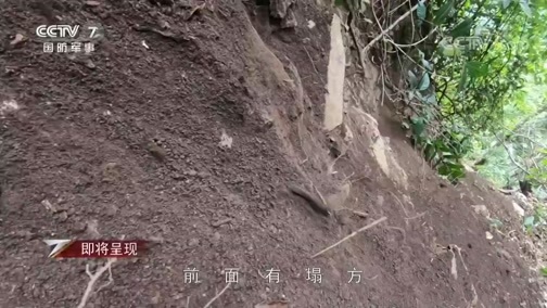 军事纪实 《军事纪实》 20200703 中缅边境的巡逻女兵