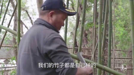 二更视频 风筝也有南北之分? 魔都的海派风筝 北方人看了会沉默 419