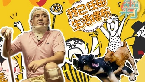 笑霸来了欢畅版 我已经任由生活摆布