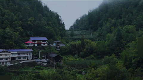 传奇故事 深山中的葬礼疑云