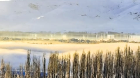 红绿灯20210302