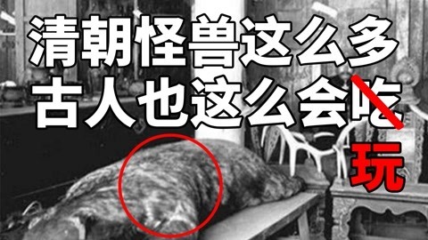 清朝怪兽事件盘点