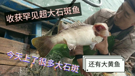 南澳岛赶海日记 彪哥出海放网捕鱼，抓了条超大值钱品种石斑鱼，瞬间全船大叫