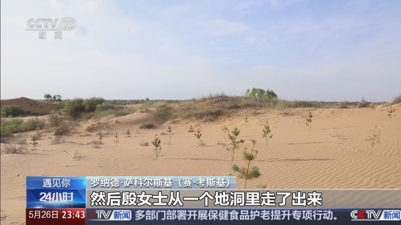 24小时 《24小时》 20260526