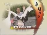 生财有道 《生财有道》 20120615 赶着天鹅去赚钱