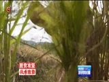 贵州新闻联播 《贵州新闻联播》 20171005