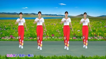 DJ广场舞《红尘伤了我的心》32步附分解
