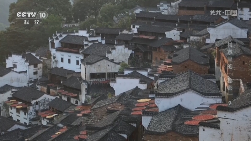 地理中国 《地理·中国》 20260722 村寨里的“秘密”9