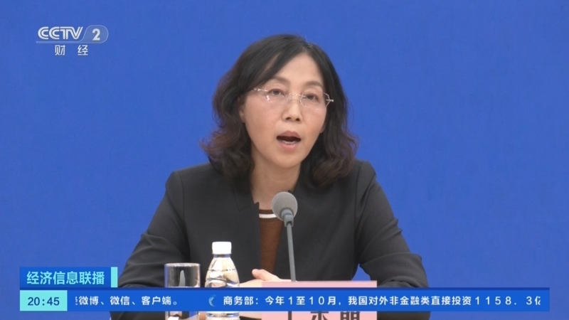 经济信息联播 《经济信息联播》 20241121