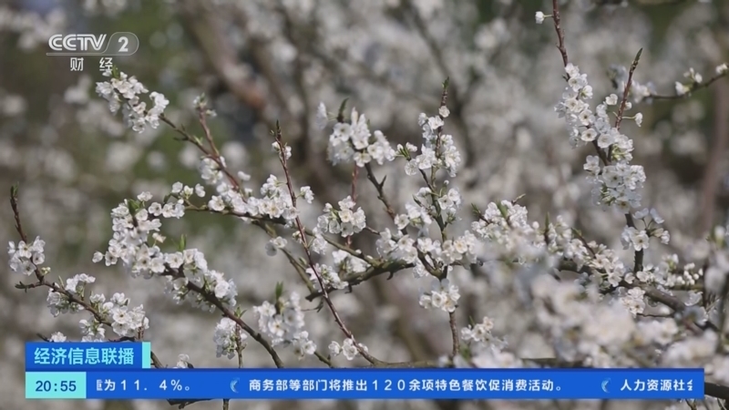 经济信息联播 《经济信息联播》 20250313