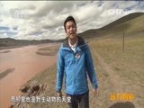 远方的家 《远方的家》特别节目《再见江河》第2集 中华水塔 三江源（下） 20150617