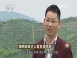 致富经 [致富经]生病后在大山里发现财富 20160601