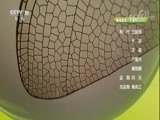 自然传奇 《自然传奇》 20171121 自然奥秘