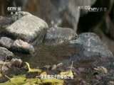 地理中国 《地理中国》 20160702 古井探源