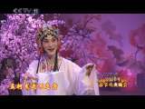 2010年中央电视台春节戏曲晚会 4-4