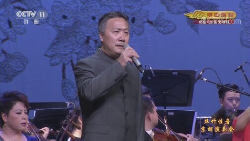 CCTV空中剧院 《CCTV空中剧院》 20200720 丝竹佳音京胡演奏会