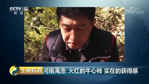 生财有道 《生财有道》 20190326 话说获得感 河南渑池：火红的牛心柿 实在的获得感