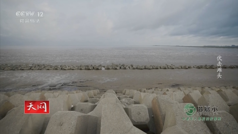 《天网》 20260226 伏击滩头