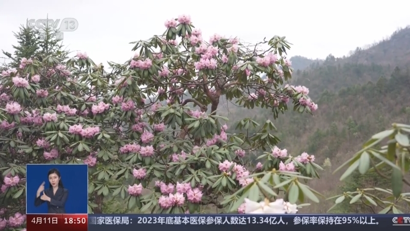 共同关注 《共同关注》 20240411