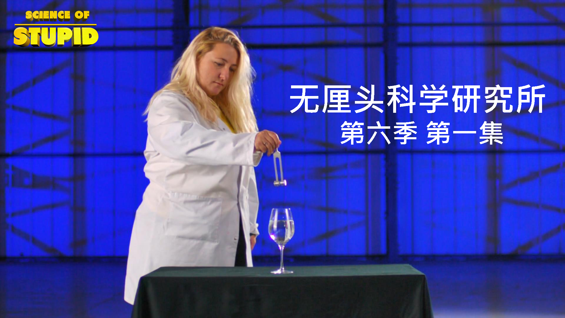 无厘头科学研究所 第六季 振荡启示