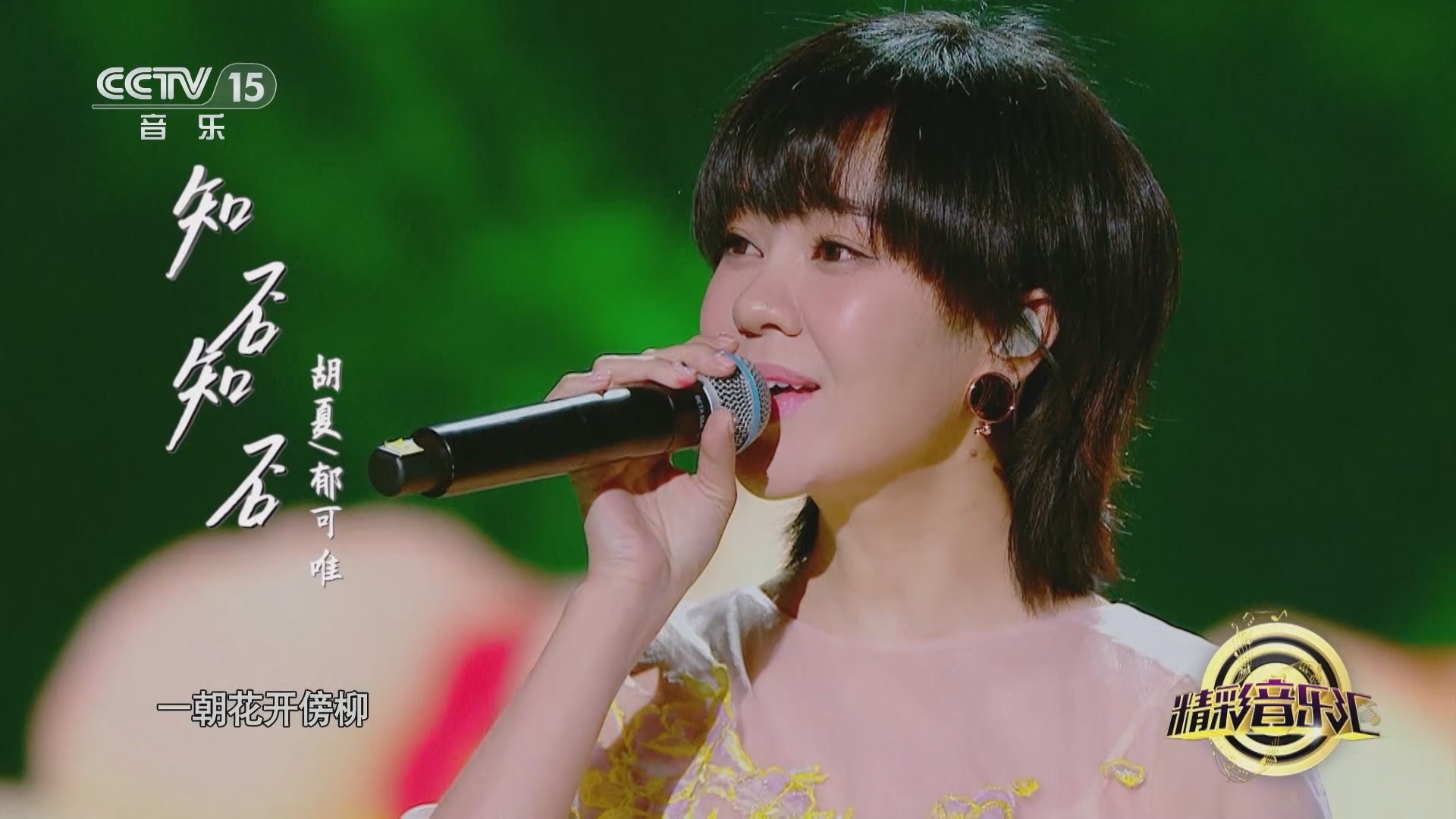 精彩音乐汇 《精彩音乐汇》 20240626 我的爱对你说