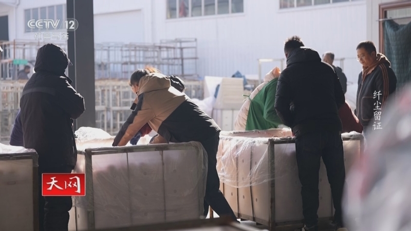 《天网》 20251027 纤尘留证