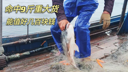 南澳岛赶海日记 潮汕渔民捕鱼命中9斤重大货，能值大几百元，这运气还真不赖