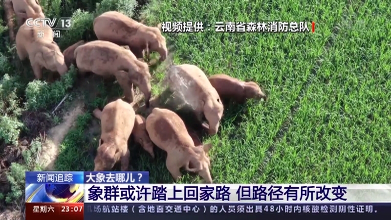 《24小时》 20210619